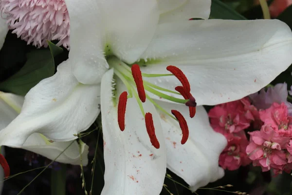 Grandes Lírios Brancos Uma Decoração Casamento Floral — Fotografia de Stock