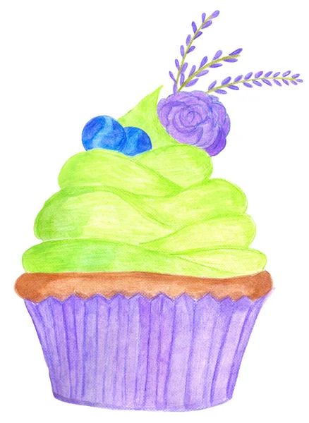 Grøn Pistacie Cupcake Med Lavendel Bær Dekorationer Håndlavet Akvarel Illustration - Stock-foto