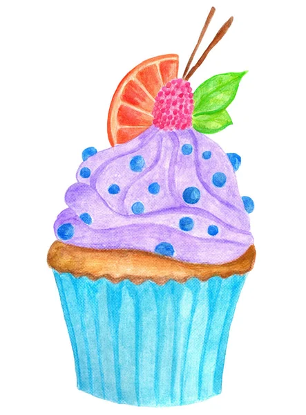 Blaubeer Cupcake Mit Himbeer Orangen Und Minzblatt Dekorationen Handgemalte Aquarell — Stockfoto