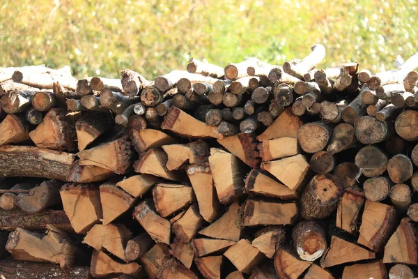 法国森林里堆积如山的碎木柴 — 图库照片