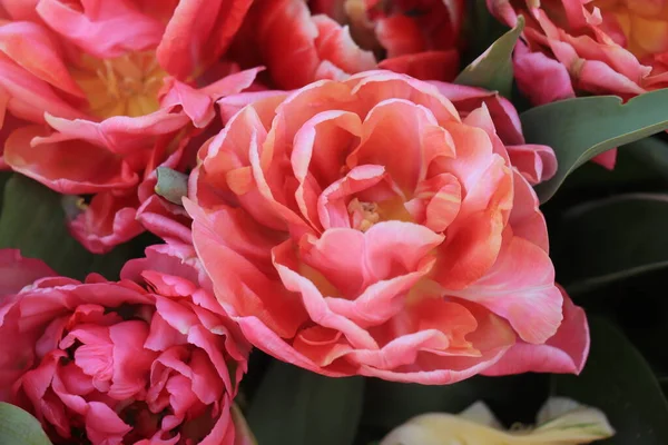 Buquê Primavera Colorido Com Diferentes Tipos Tulipas Várias Cores Brilhantes — Fotografia de Stock