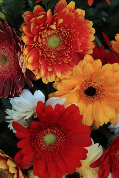 Arreglo Floral Mixto Varias Gerberas Diferentes Colores Para Una Boda — Foto de Stock