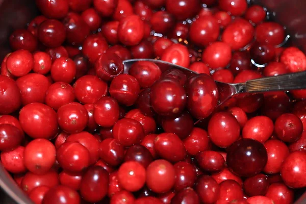 Différentes Sortes Confiseries Dans Une Vitrine Gâteau Fromage Fruits Décorés — Photo