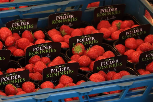 Assen Netherlands July 27Th 2019 Strawberries Market Stalll Text Tags — стоковое фото