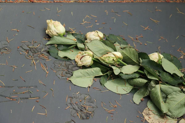 Rosas Brancas Mortas Uma Sepultura Secadas Pelo Sol — Fotografia de Stock
