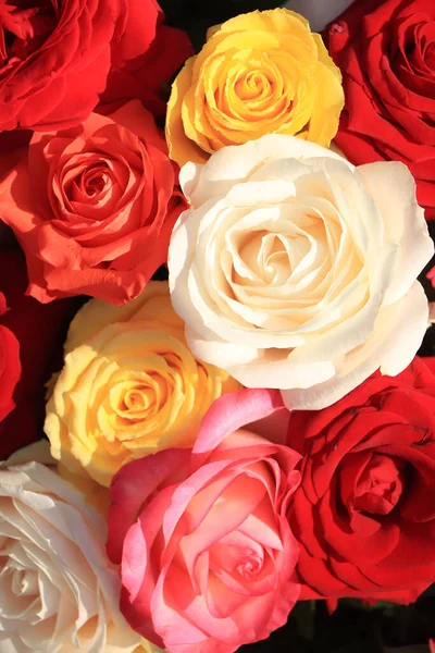Smíšené Růže Kytice Velké Růže Jasných Barvách — Stock fotografie