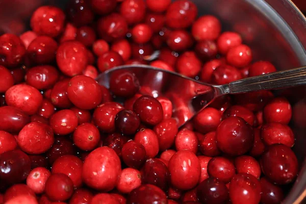 Preparing Homemade Cranberry Sauce Thanksgiving Christmas — Stock Photo, Image