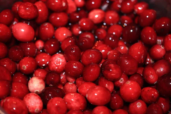 Preparing Homemade Cranberry Sauce Thanksgiving Christmas — Stock Photo, Image