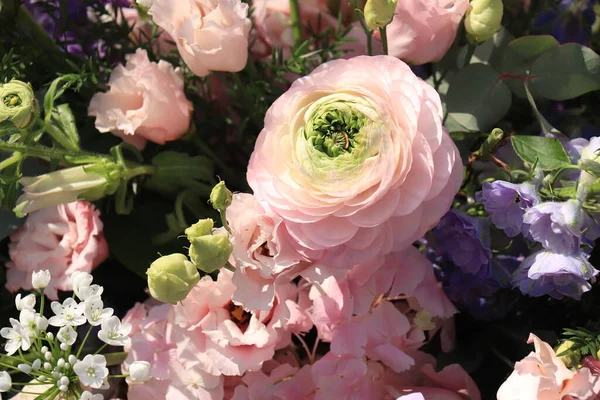 Big Ranunculus Rosa Bouquet Sposa — Foto Stock