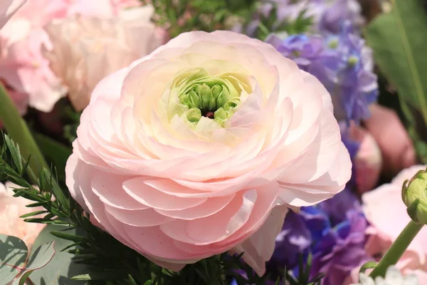Duży Różowy Ranunculus Bukiecie Ślubnym — Zdjęcie stockowe