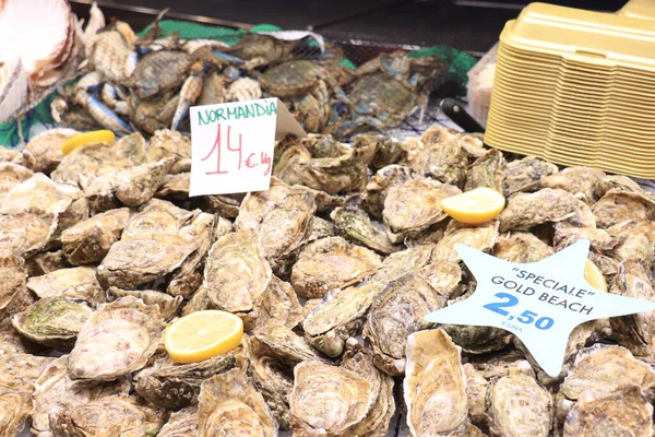 Barcelona Espanha Setembro 2019 Seleção Ostras Mercado Boqueria Texto Sobre — Fotografia de Stock