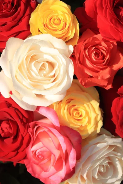 Ramo Rosas Mixtas Rosas Grandes Colores Brillantes —  Fotos de Stock