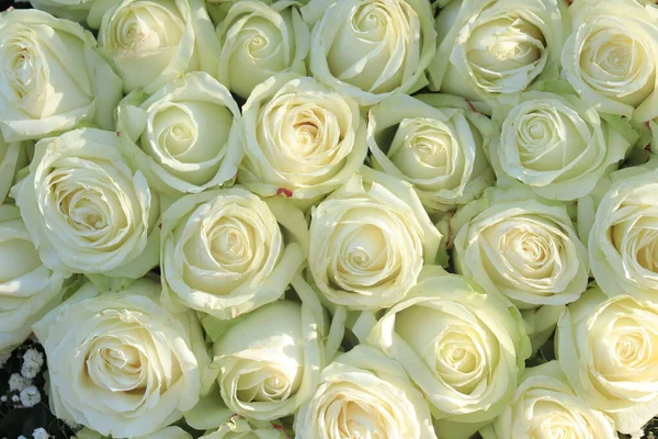 Big Group White Roses Part Wedding Decorations — Stock Photo, Image