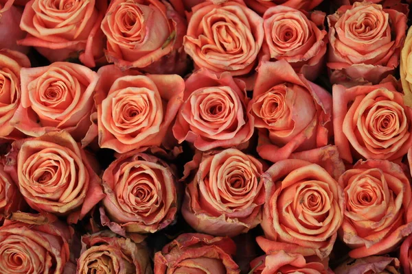 Pêssego Rosas Coloridas Uma Grande Peça Central Casamento — Fotografia de Stock