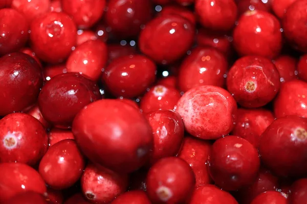 Preparing Homemade Cranberry Sauce Thanksgiving Christmas — Stock Photo, Image