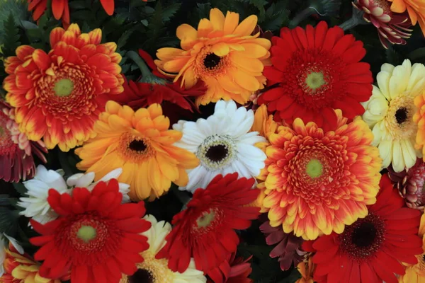 Arranjo Flor Mista Vários Gerberas Cores Diferentes Casamento — Fotografia de Stock