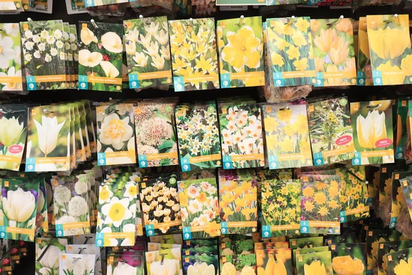 Assen Netherlands August 31St 2022 Flower Bulbs Colorful Bags Sorted — Stock Photo, Image