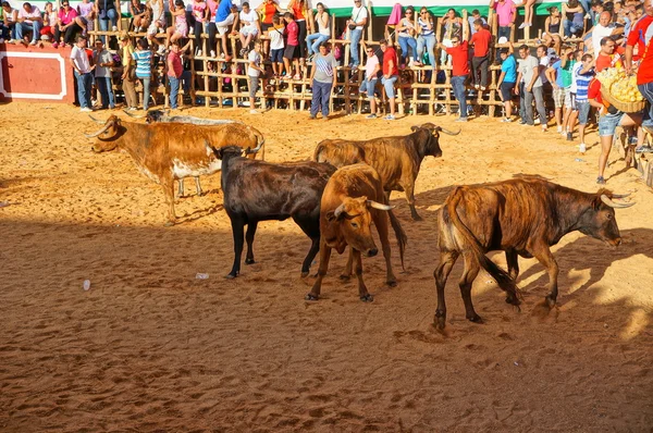 The festival of St. John the Baptist's, SAN JUAN — Stock Photo, Image