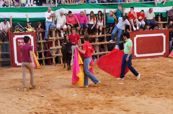 La festa di San Giovanni Battista, SAN GIUANO — Foto Stock