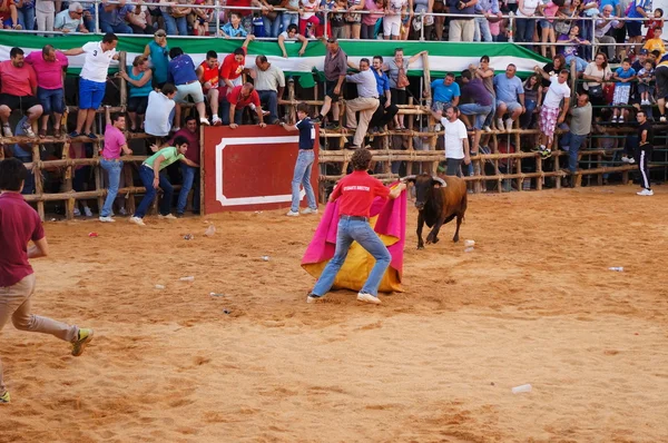 A fesztivál a Szent János a baptista, san juan — Stock Fotó