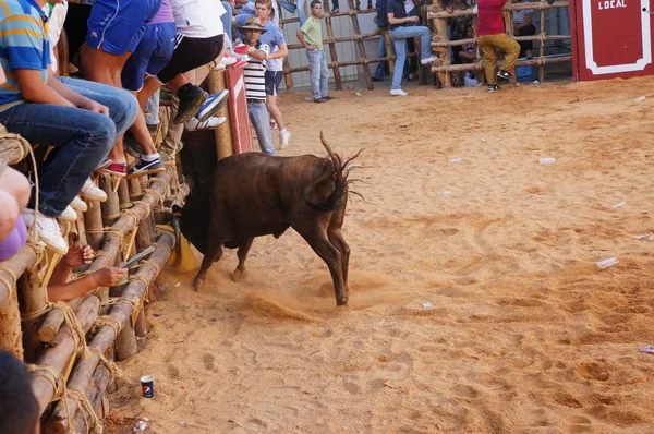 La fiesta de San Juan Bautista, SAN JUAN — Foto de Stock