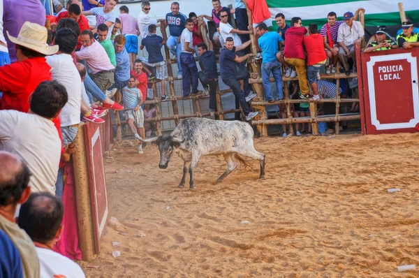 Das fest des heiligen johannes des täufers, san juan — Stockfoto