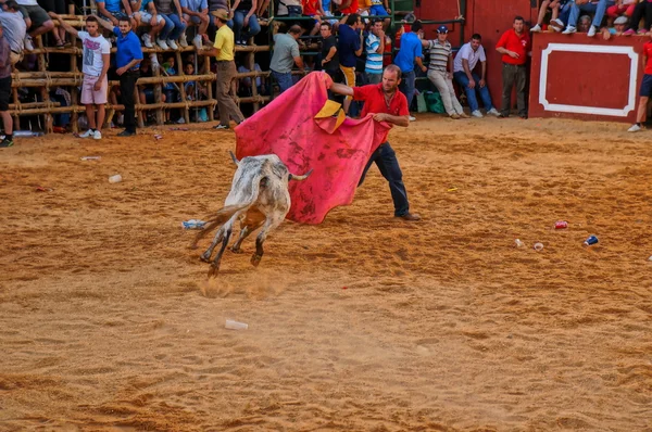 A fesztivál a Szent János a baptista, san juan — Stock Fotó