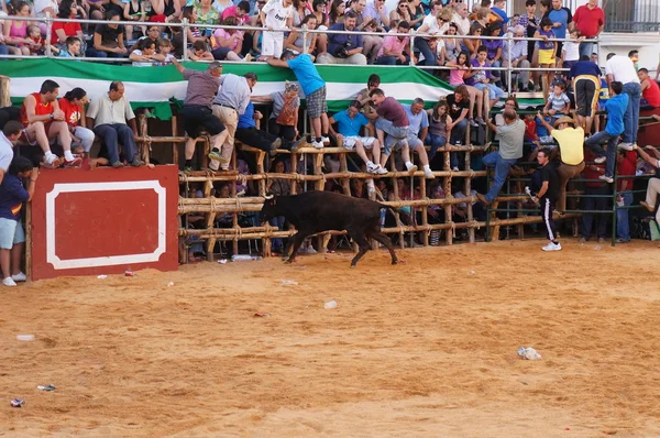 O festival de São João Batista, SAN JUAN — Fotografia de Stock