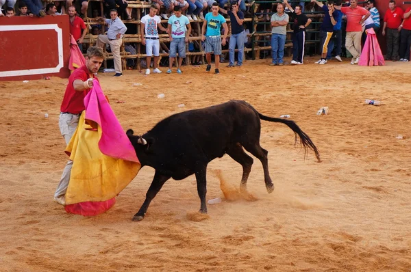 La fiesta de San Juan Bautista, SAN JUAN — Foto de Stock