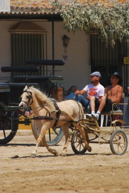 romeria de el rocio, Endülüs, İspanya