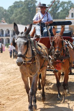 romeria de el rocio, Endülüs, İspanya