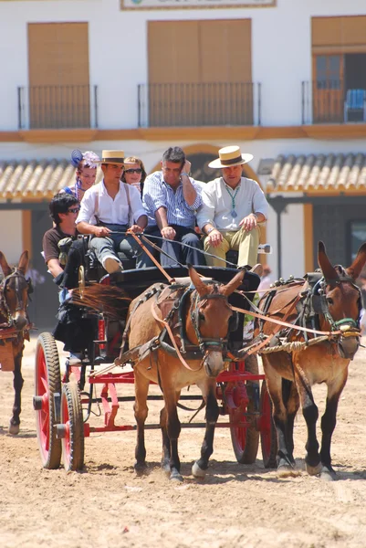 Romeria ・ デ ・ エル ・ ロシオ、アンダルシア、スペイン — ストック写真