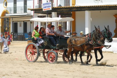 romeria de el rocio, Endülüs, İspanya