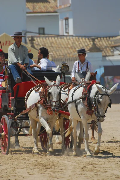 Pellegrini, el Rocio, Huelva, Andalusia, Spagna — Foto Stock