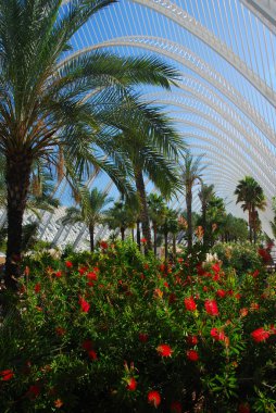 Sanat ve Bilim Şehri, L 'Umbracle.