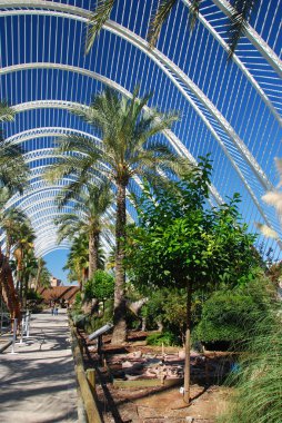 Sanat ve Bilim Şehri, L 'Umbracle.