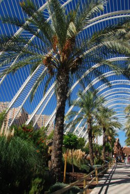 mekanik dinozor l'umbracle içinde