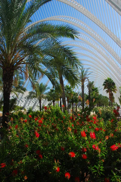 The City of Arts and Sciences, L'Umbracle. — Stock Photo, Image