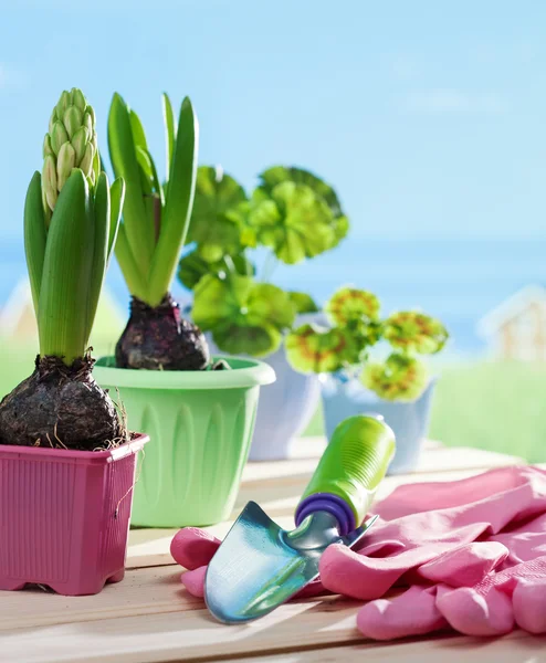 花の植木鉢や庭のシャベル — ストック写真