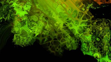 Siyah üzerine modern renkli akış arka planı. Renk pankartıyla dalga sıvısı. Tasarım projen için sanat tasarımı. Vektör illüstrasyonu.