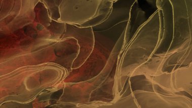 Renkli fırça elementleri olan zarif bir afiş tasarımı. Soyut dekorasyon. Vektör illüstrasyonu.