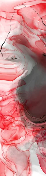 Pinceau Encre Rouge Noire Sur Fond Blanc Élément Design Illustration — Image vectorielle