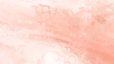 Soyut Pembe Mercan Pembe Arkaplan. Pankart unsuru tasarla. Vektör illüstrasyonu