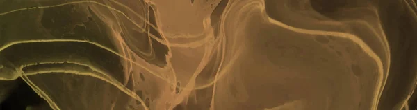 Элегантный Шаблон Баннера Элементами Кисти Цвета Абстрактное Оформление Векторная Иллюстрация — стоковый вектор