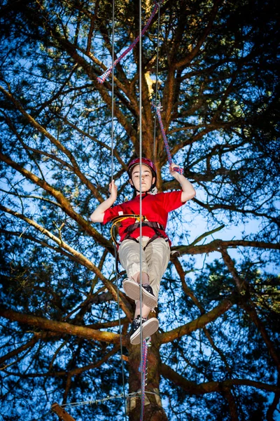 Gadis memanjat di taman petualangan — Stok Foto