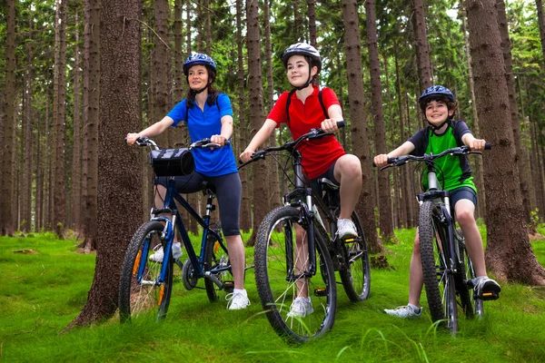 Stile di vita sano - mountain bike familiare — Foto Stock