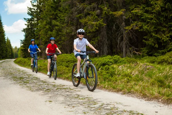 健康的生活方式-家庭骑山地自行车 — 图库照片