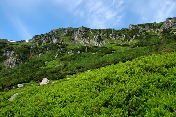 Korkea vuori — kuvapankkivalokuva