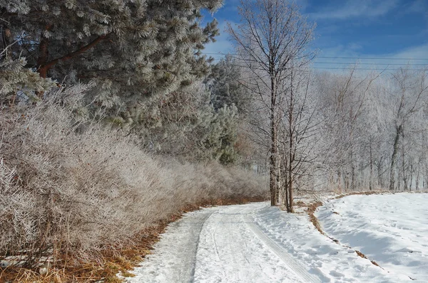 Paisaje invierno —  Fotos de Stock