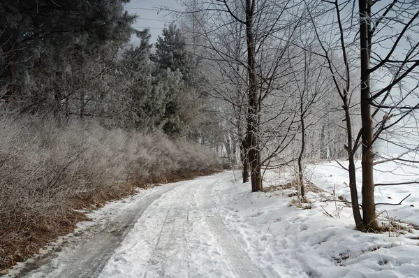 Winterlandschaft — Stockfoto